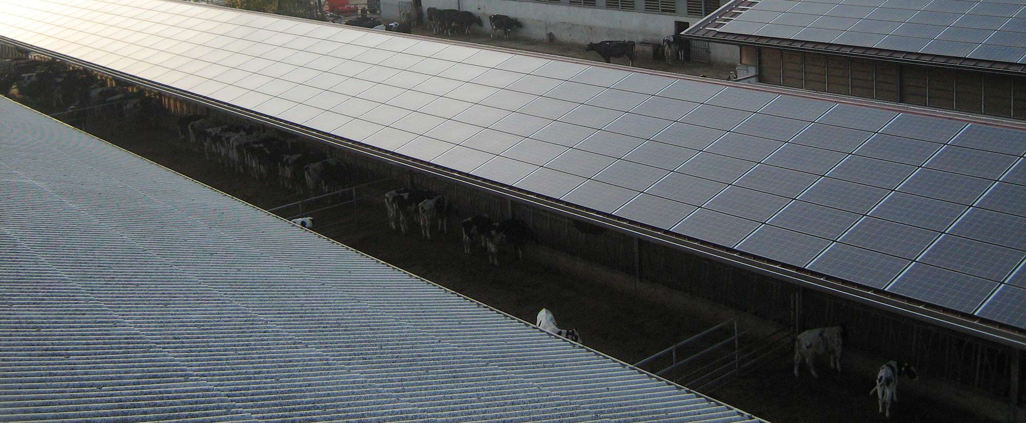 Elettroproject_Impianti-elettrici_Impianti-cantine_Impianti-fotovoltaici_Volpago-del-Montello_Provincia-di-Treviso_2.jpg